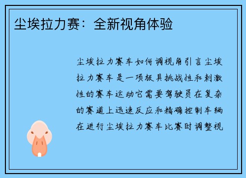 尘埃拉力赛：全新视角体验